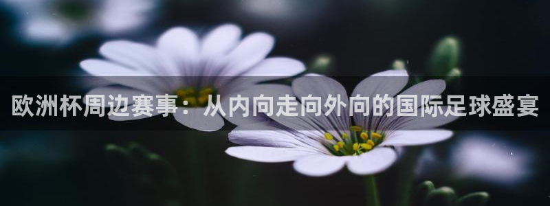 欧洲区世界杯预选赛：欧洲杯周边赛事：从内向走向外向的国际足球盛宴