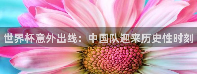 女足世界杯直播在线观看免费高清：世界杯意外出线：中国队迎来历史性时刻