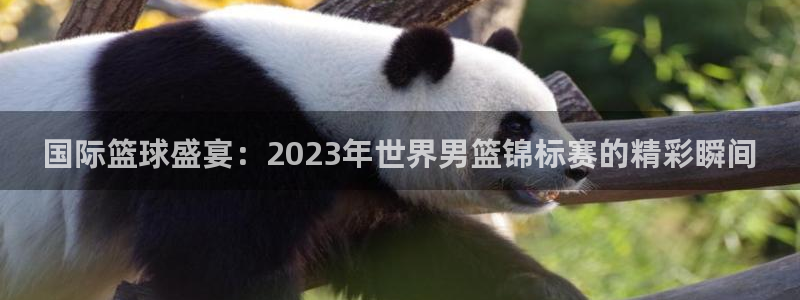 世界杯决赛圈球队：国际篮球盛宴：2023年世界男篮锦标赛的精彩瞬间