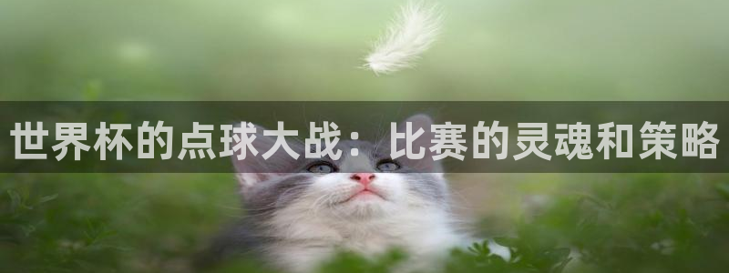 2026足球世界杯赛程：世界杯的点球大战：比赛的灵魂和策略