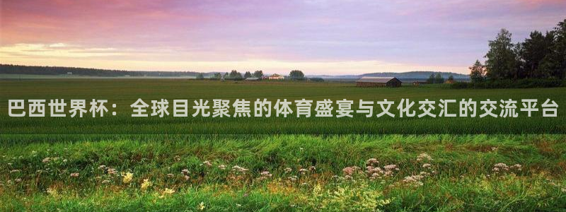 2026年世界杯对阵图：巴西世界杯：全球目光聚焦的体育盛宴与文化交汇的交流平台