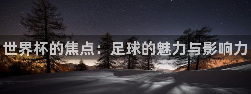 世界杯预选赛欧洲：世界杯的焦点：足球的魅力与影响力