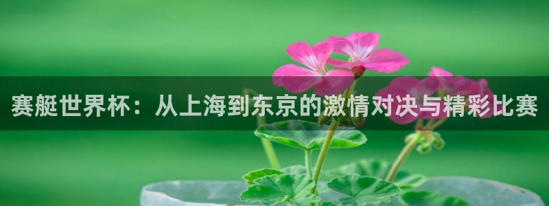 世界杯赛程表2026：赛艇世界杯：从上海到东京的激情对决与精彩比赛