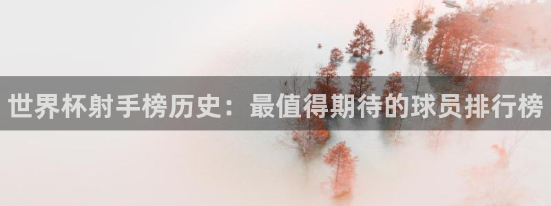 美国世界杯：世界杯射手榜历史：最值得期待的球员排行榜