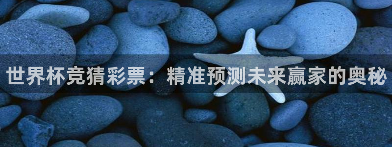 2026世界杯赛：世界杯竞猜彩票：精准预测未来赢家的奥秘
