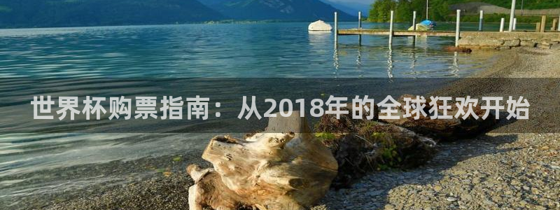 亚洲杯足球：世界杯购票指南：从2018年的全球狂欢开始