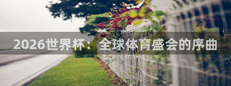 世界杯对阵图2026：2026世界杯：全球体育盛会的序曲