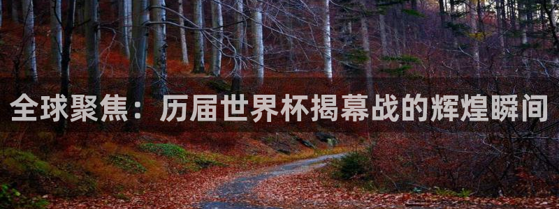 世界杯球队排名：全球聚焦：历届世界杯揭幕战的辉煌瞬间
