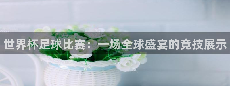 足球比分直播世界杯：世界杯足球比赛：一场全球盛宴的竞技展示