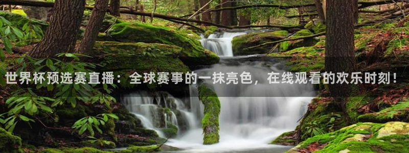 世界杯比赛：世界杯预选赛直播：全球赛事的一抹亮色，在线观看的欢乐时刻！