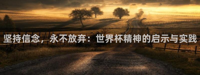 2026男足世界杯：坚持信念，永不放弃：世界杯精神的启示与实践