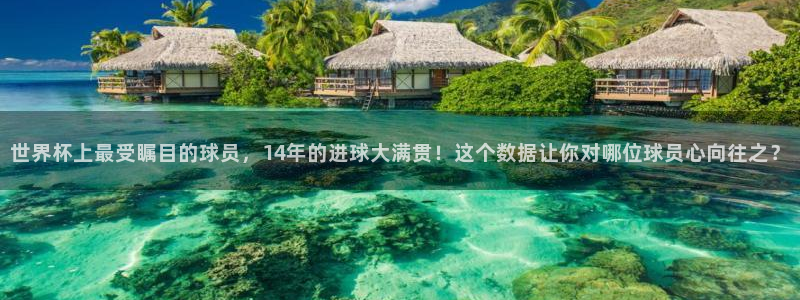 2026年世界杯时间表：世界杯上最受瞩目的球员，14年的进球大满贯！这个数据让你对哪位球员心向往之？