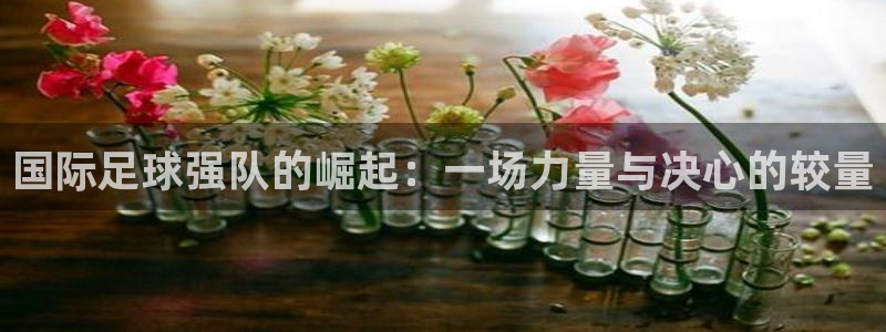 2026世界杯预选赛：国际足球强队的崛起：一场力量与决心的较量